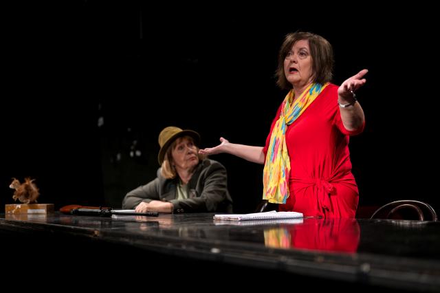 Ludmila Mecerodová a&nbsp;Romana Chvalová, foto Petr Šedivý