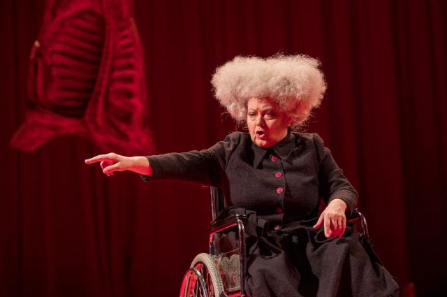 Ludmila Mecerodová, foto Petr Šedivý
