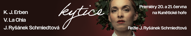 vcd_kytice_vcd-657x126 